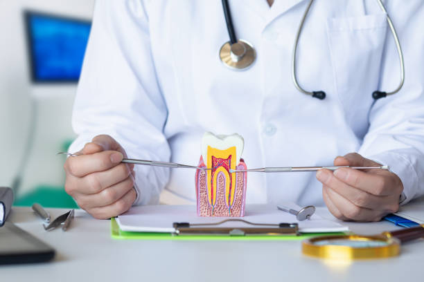 East Canton, OH Emergency Dentist Pros